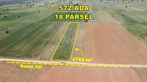 Arsa-Tarla