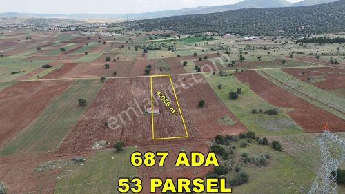 Arsa-Tarla