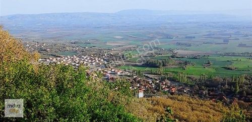 Arsa-Tarla
