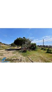 Arsa-Bağ & Bahçe