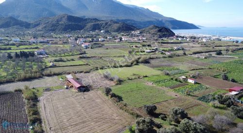 Arsa-Tarla
