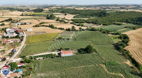 Arsa-Tarla
