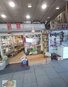 İşyeri-Dükkan & Mağaza