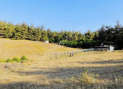 Arsa-Bağ & Bahçe