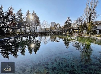 İşyeri-Ofis