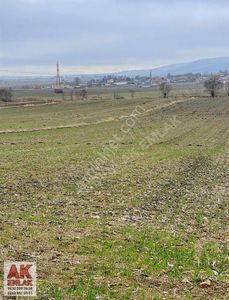 Arsa-Tarla