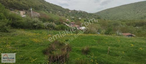 Arsa-Konut İmarlı
