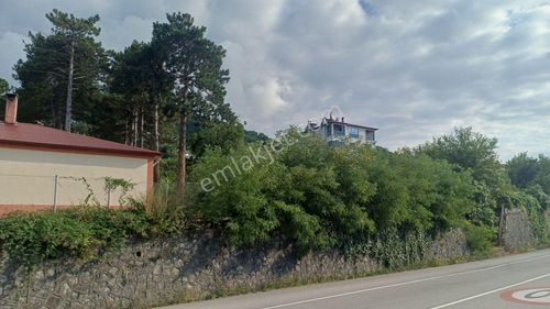 Arsa-Arazi