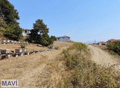 Arsa-Konut İmarlı