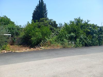 Arsa-Bağ & Bahçe