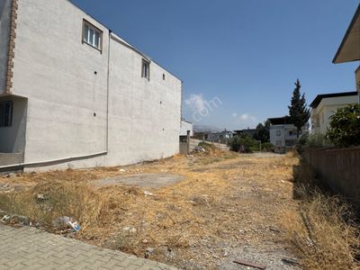 Arsa-Konut İmarlı