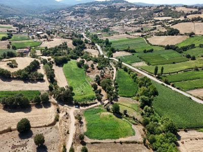 Balıkesir Balya Dereköy De Satılık Tarla