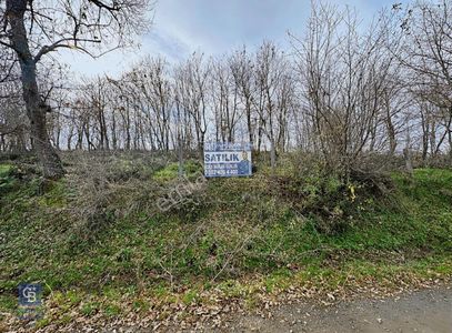 Arsa-Villa İmarlı