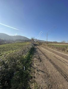 Arsa-Tarla