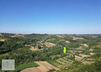 Arsa-Tarla