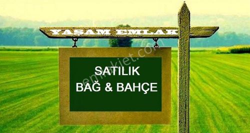 Arsa-Bağ & Bahçe