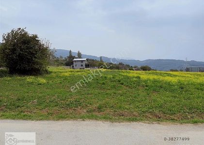 Arsa-Tarla