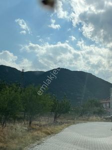 Arsa-Konut İmarlı