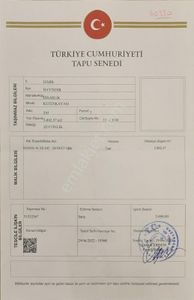 Arsa-Zeytinlik