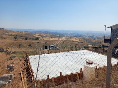 Arsa-Bağ & Bahçe