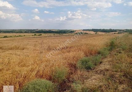 Arsa-Tarla