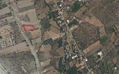 Arsa-Tarla