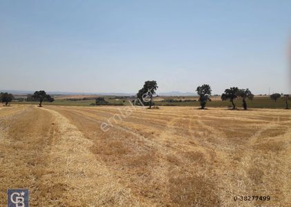 Arsa-Tarla