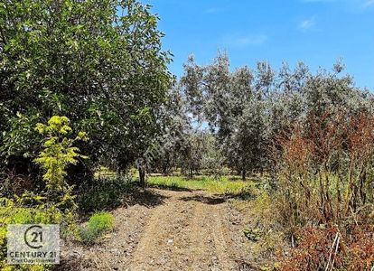 Arsa-Ticari İmarlı