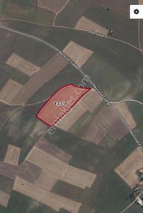 Arsa-Tarla