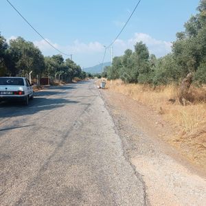 Arsa-Tarla