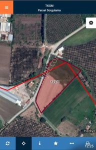 Arsa-Zeytinlik