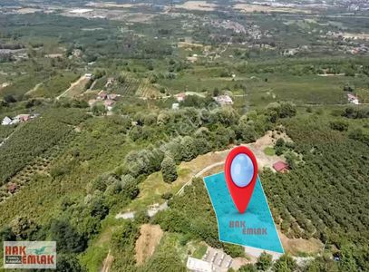 Arsa-Konut İmarlı