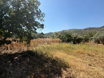 Arsa-Bağ & Bahçe