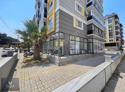İşyeri-Dükkan & Mağaza