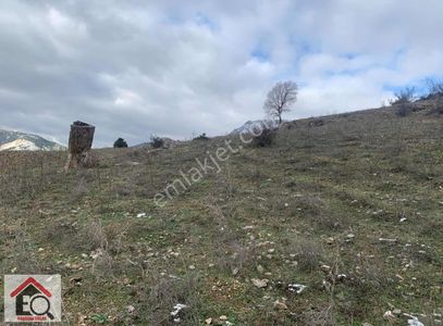 Arsa-Tarla