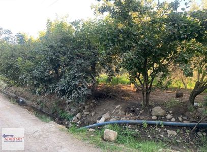 Arsa-Tarla