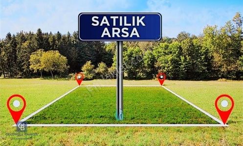 Arsa-Zeytinlik