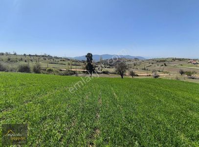 Arsa-Tarla