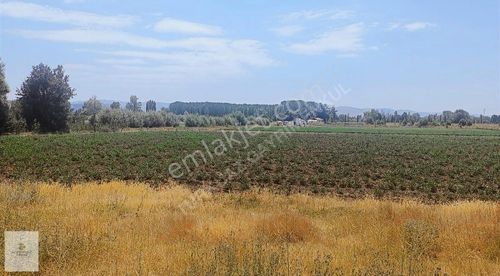 Arsa-Konut İmarlı