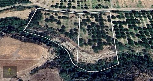 Arsa-Bağ & Bahçe