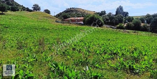 Arsa-Villa İmarlı