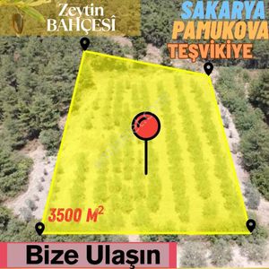 Arsa-Tarla