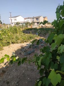 Arsa-Villa İmarlı