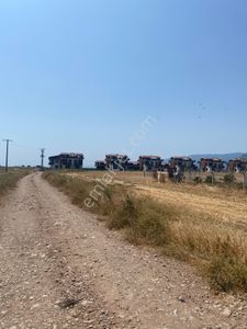 Arsa-Konut İmarlı