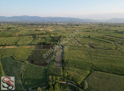 Arsa-Tarla