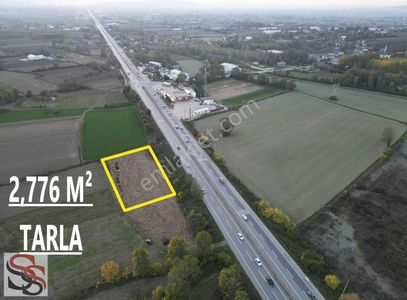 Arsa-Tarla
