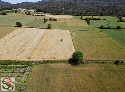 Arsa-Tarla