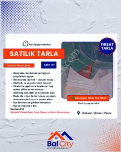 Arsa-Tarla