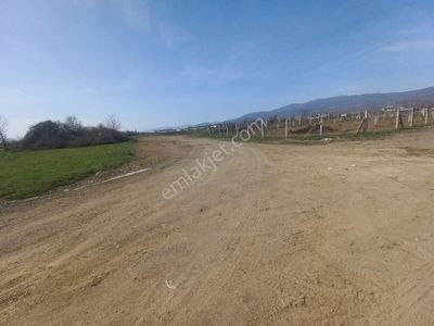 Arsa-Konut İmarlı