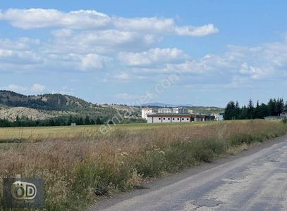 Arsa-Tarla